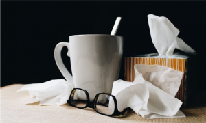 wellness programs can help reduce absences due to illness